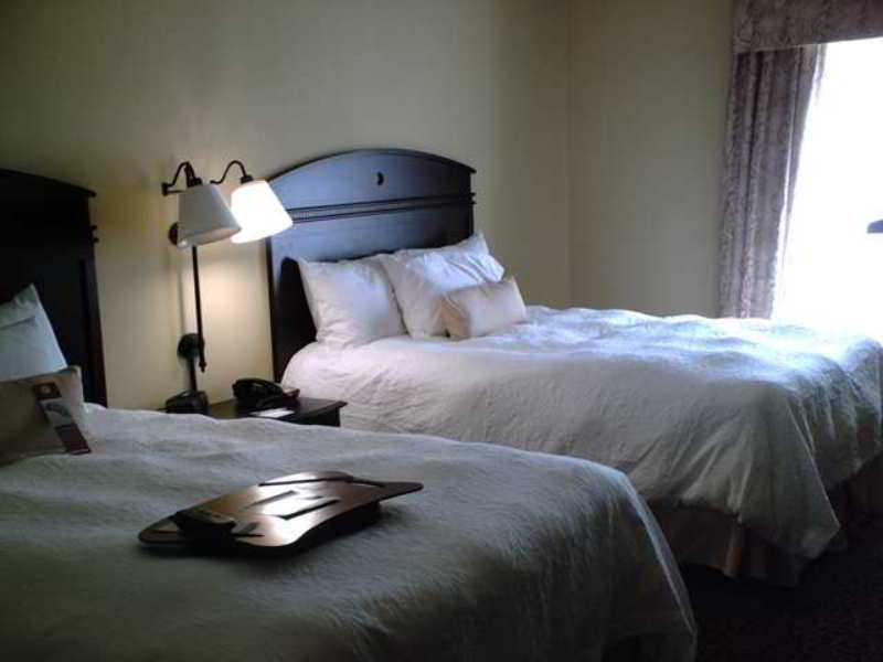 Hampton Inn Vidalia Værelse billede